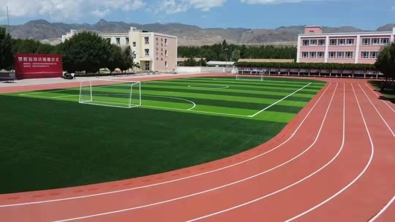 High Durability Smooth Athletic Rubber Running Track With Good Service